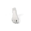 Миниатюра фото статуэтка memorabilia mvsevm male foot seletti | 220svet.ru