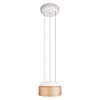 Миниатюра фото подвесной светильник loft it totem 10466p amber matte | 220svet.ru