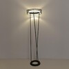 Миниатюра фото торшер lumion alva 8370/30fl черный | 220svet.ru