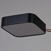 Миниатюра фото светильник потолочный reluce 03360-0.3-05 bk+fgd | 220svet.ru