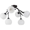 Миниатюра фото потолочная люстра lussole bagheria grlsf-6283-06 | 220svet.ru