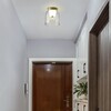 Миниатюра фото потолочный светильник imperium loft clarity b 243715-26 | 220svet.ru