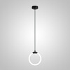 Миниатюра фото подвесной светильник imperium loft nils d15 black 240154-23 | 220svet.ru