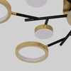 Миниатюра фото потолочный светодиодный светильник f-promo 4686-13c | 220svet.ru