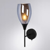 Миниатюра фото бра с выключателем на корпусе arte lamp barry a7951ap-1bk | 220svet.ru