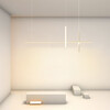 Миниатюра фото подвесной светильник imperium loft squirrel 220666-23 | 220svet.ru