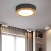 Миниатюра фото потолочный светильник imperium loft wudda d30 розовый 310979-26 | 220svet.ru