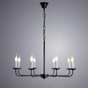 Миниатюра фото подвесная люстра arte lamp graff a1857lm-8bk | 220svet.ru