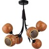 Миниатюра фото подвесная люстра lussole bagheria lsf-6203-06 | 220svet.ru