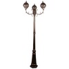 Миниатюра фото уличный фонарь reluce 09018-0.7-003sl 2,2m bkg | 220svet.ru
