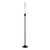 Миниатюра фото ландшафтный светодиодный светильник st luce spike sl9523.405.01 | 220svet.ru