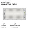 Миниатюра фото прожектор светодиодный apeyron 100w 6500k 05-62 | 220svet.ru