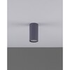 Миниатюра фото настенно-потолочный светильник moderli cora v11890-1c | 220svet.ru