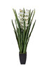 Миниатюра фото орхидея cymbidium garda decor 29bj-911-45 | 220svet.ru