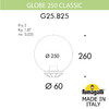Миниатюра фото уличный фонарь на столб fumagalli globe 250 classic g25.b25.000.bze27 | 220svet.ru