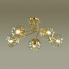 Миниатюра фото потолочная люстра lumion breana 4556/5c | 220svet.ru