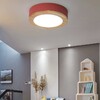 Миниатюра фото потолочный светильник imperium loft wudda d30 розовый 310979-26 | 220svet.ru
