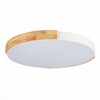 Миниатюра фото потолочный сетодиодный светильник evoluce delia sle201352-01 | 220svet.ru
