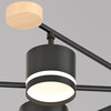 Миниатюра фото потолочная люстра reluce 1432948 | 220svet.ru