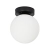 Миниатюра фото потолочный светильник arte lamp alcor a2224pl-1bk | 220svet.ru