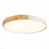 Миниатюра фото потолочный сетодиодный светильник evoluce delia sle201352-01 | 220svet.ru
