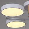 Миниатюра фото светильник потолочный reluce 03322-0.3-06 wh+wood | 220svet.ru