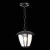 Миниатюра фото уличный подвесной светильник st luce sivino sl081.403.01 | 220svet.ru