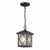 Миниатюра фото уличный подвесной светильник st luce lorne sl084.403.01 | 220svet.ru