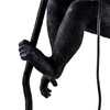 Миниатюра фото подвесной светильник monkey lamp ceiling seletti | 220svet.ru
