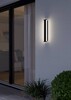Миниатюра фото уличный настенный светильник eglo neviano 900676 | 220svet.ru