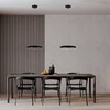 Миниатюра фото подвесной светильник loft it dime 10371p black | 220svet.ru